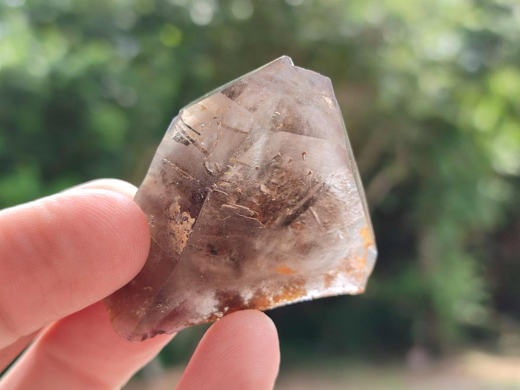 Natural Smokey Quartz Crystals x 12 From Zomba Plateau, Malawi