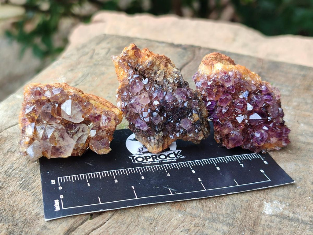 Natural Dark Purple Amethyst Quartz Crystal Plates x 35 From Boekenhouthoek, South Africa