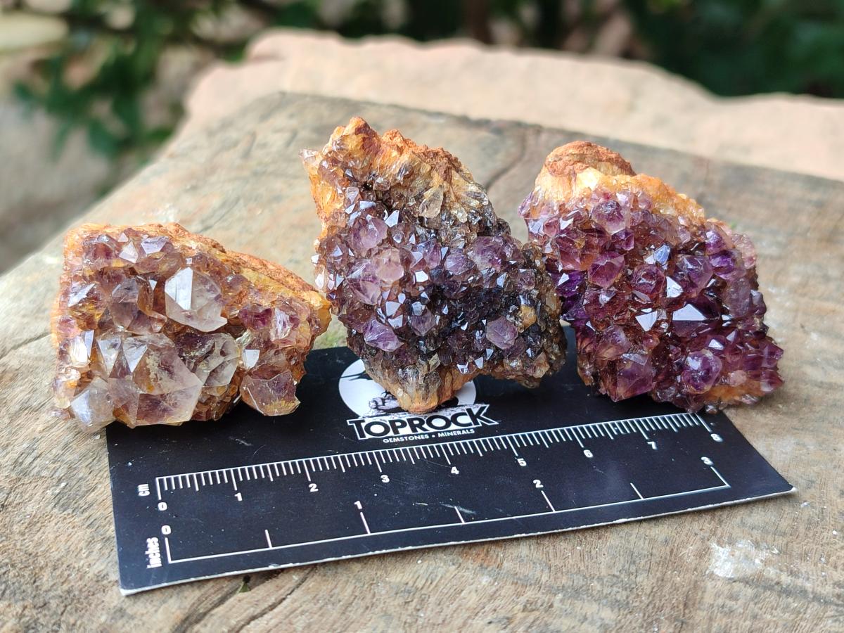 Natural Dark Purple Amethyst Quartz Crystal Plates x 35 From Boekenhouthoek, South Africa