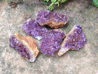 Natural Dark Purple Amethyst Quartz Crystal Plates x 35 From Boekenhouthoek, South Africa