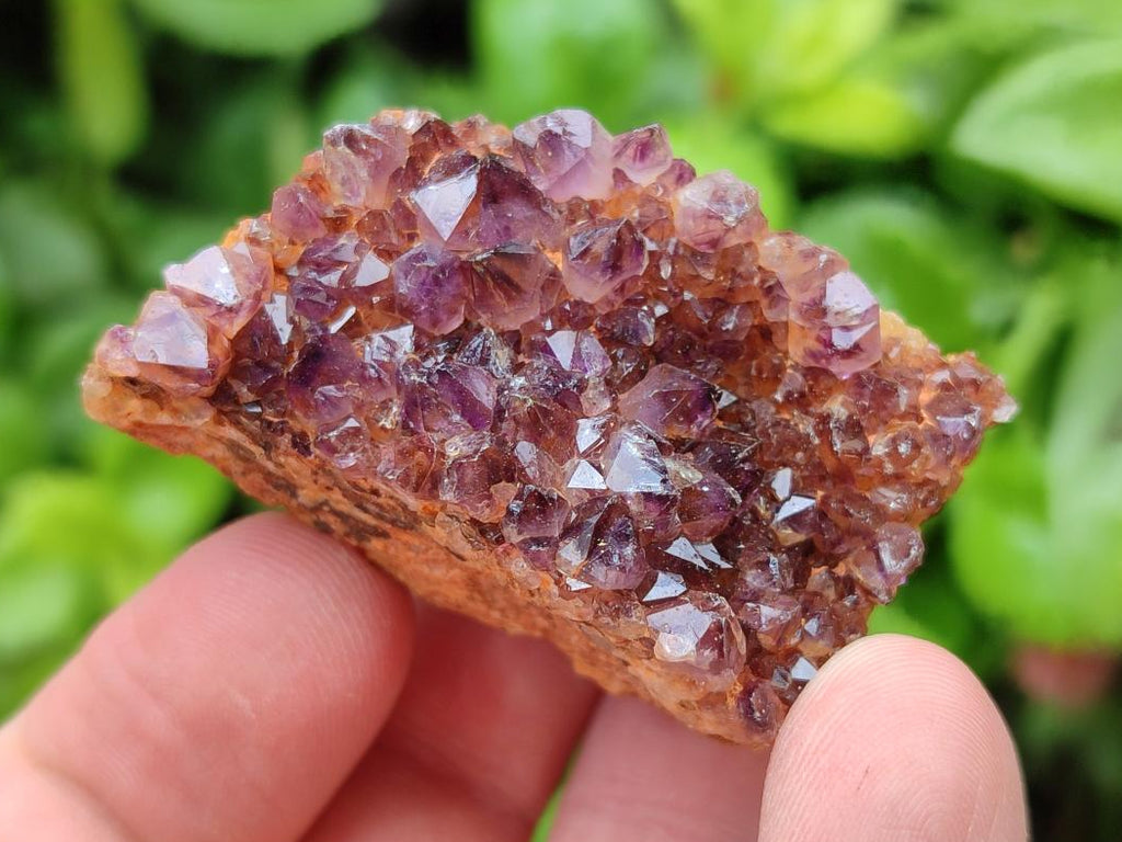 Natural Dark Purple Amethyst Quartz Crystal Plates x 35 From Boekenhouthoek, South Africa