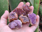 Natural Dark Purple Amethyst Quartz Crystal Plates x 35 From Boekenhouthoek, South Africa