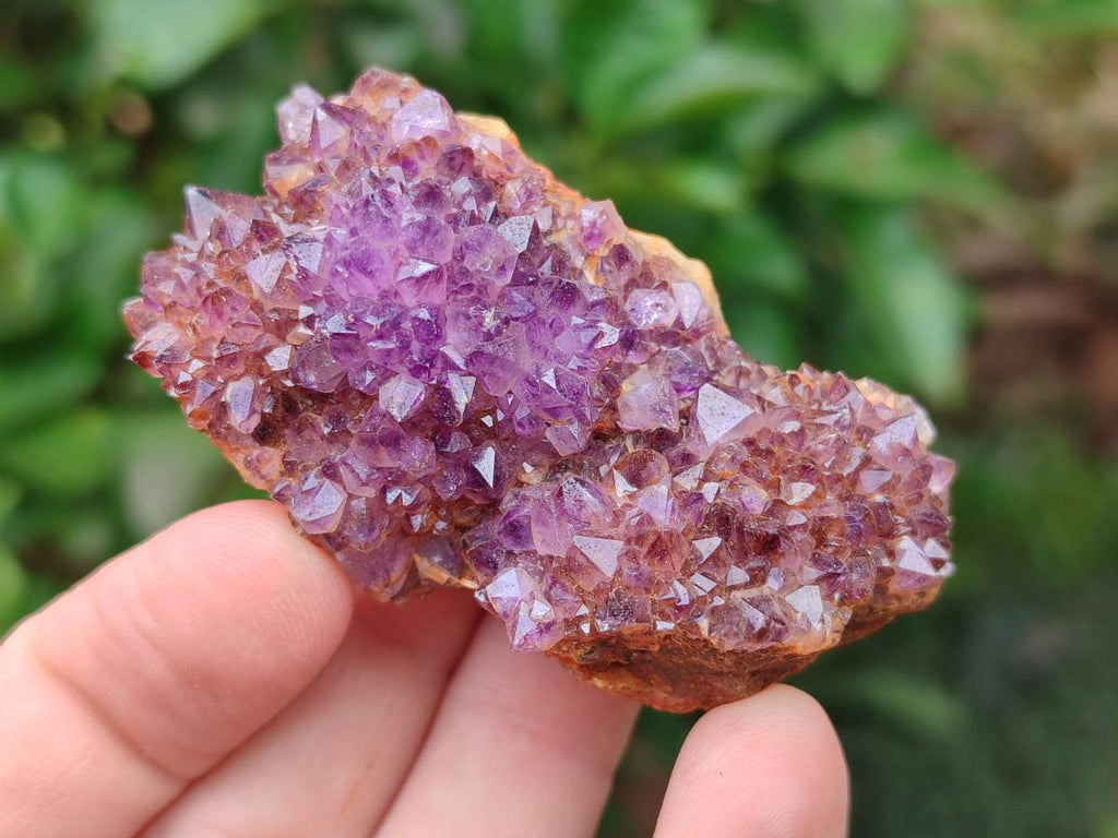 Natural Dark Purple Amethyst Quartz Crystal Plates x 35 From Boekenhouthoek, South Africa