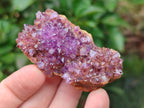 Natural Dark Purple Amethyst Quartz Crystal Plates x 35 From Boekenhouthoek, South Africa