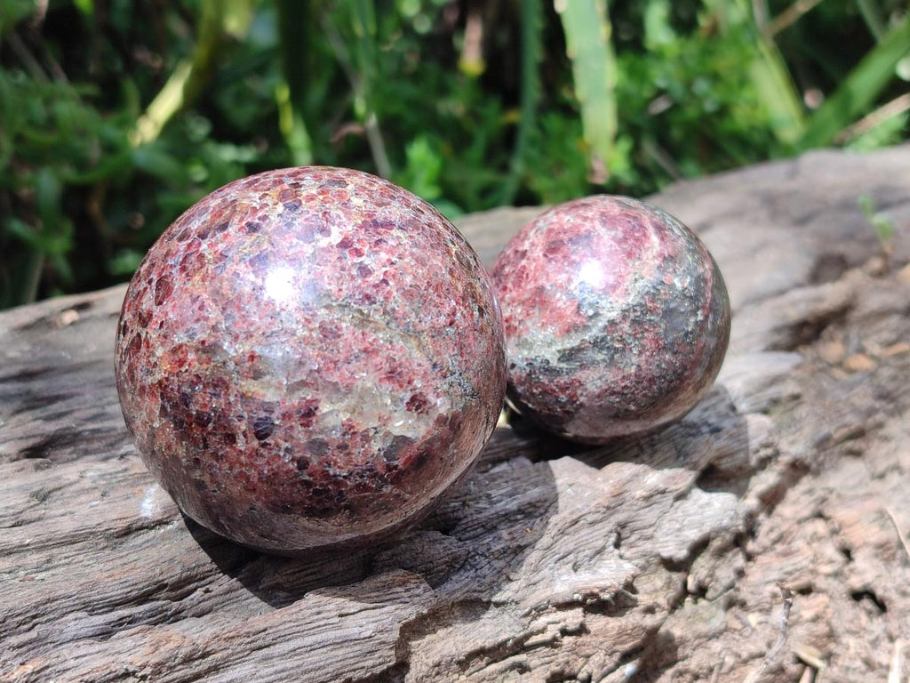 Polished Garnet Spheres x 5 From Mahajanga, Madagascar