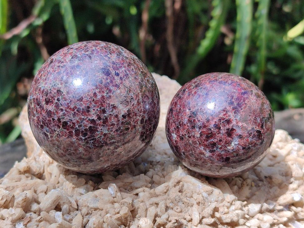 Polished Garnet Spheres x 5 From Mahajanga, Madagascar