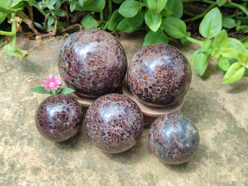 Polished Garnet Spheres x 5 From Mahajanga, Madagascar