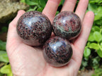 Polished Garnet Spheres x 5 From Mahajanga, Madagascar