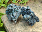 Natural Libethenite Crystals on Dolomite Matrix Specimens x 6 From Shituru, Congo