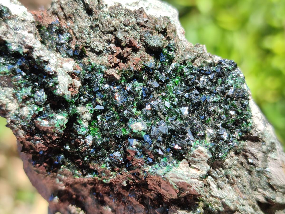Natural Libethenite Crystals on Dolomite Matrix Specimens x 6 From Shituru, Congo