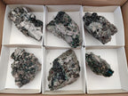 Natural Libethenite Crystals on Dolomite Matrix Specimens x 6 From Shituru, Congo