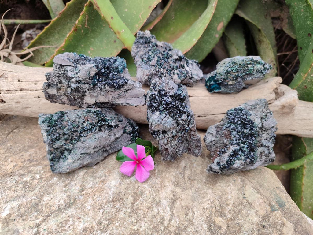 Natural Libethenite Crystals on Dolomite Matrix Specimens x 6 From Shituru, Congo