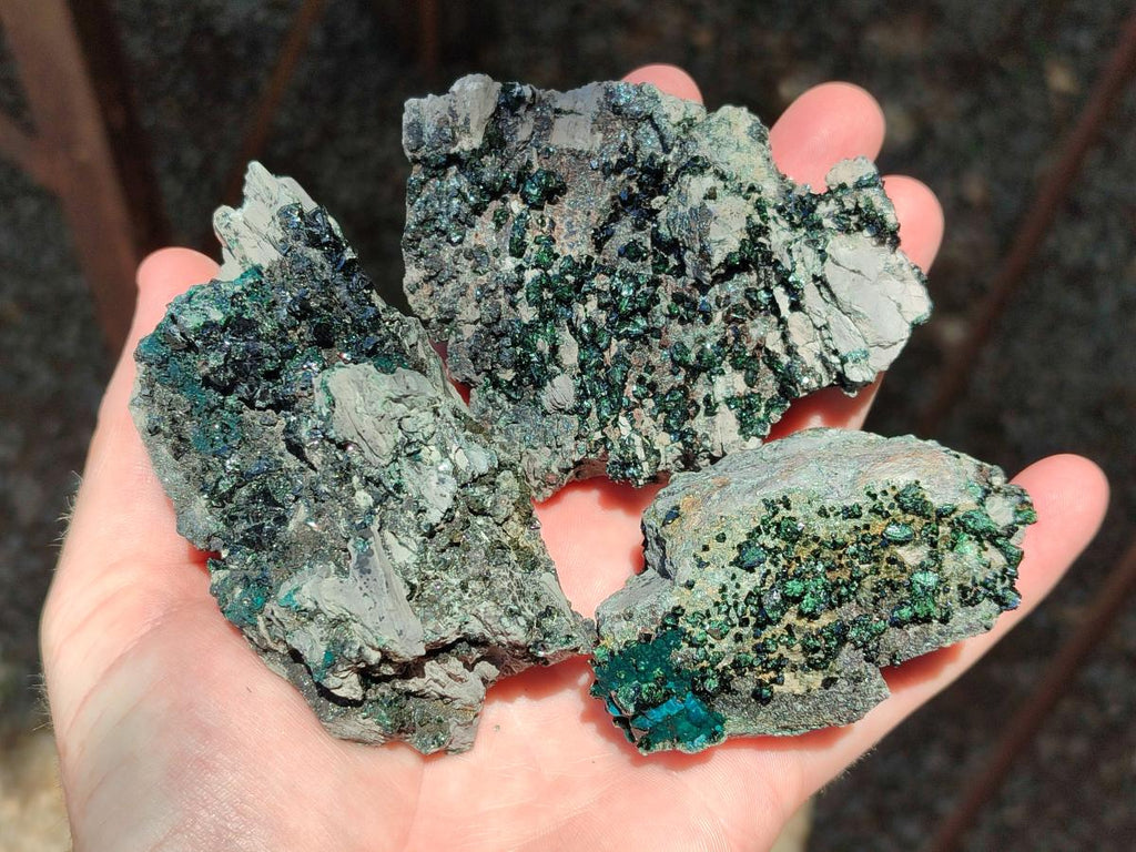 Natural Libethenite Crystals on Dolomite Matrix Specimens x 6 From Shituru, Congo