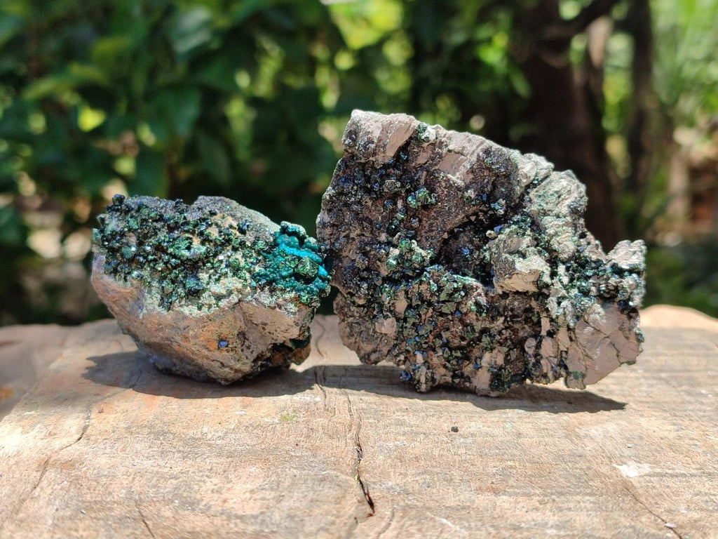 Natural Libethenite Crystals on Dolomite Matrix Specimens x 6 From Shituru, Congo