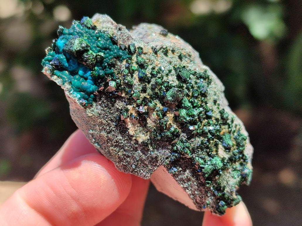 Natural Libethenite Crystals on Dolomite Matrix Specimens x 6 From Shituru, Congo