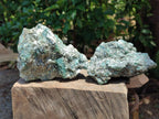 Natural Emerald Mica 'Mutokolite' Cobbed Specimens x 3 From Mutoko, Zimbabwe