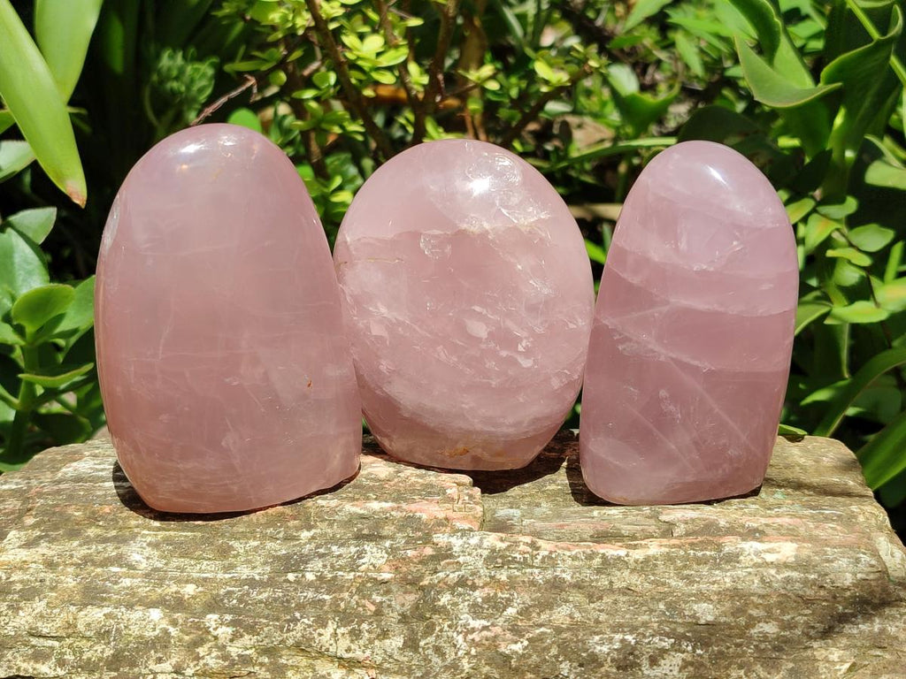 Polished Gemmy Star Rose Quartz Standing Free Forms x 4 From Madagascar