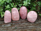Polished Gemmy Star Rose Quartz Standing Free Forms x 4 From Madagascar