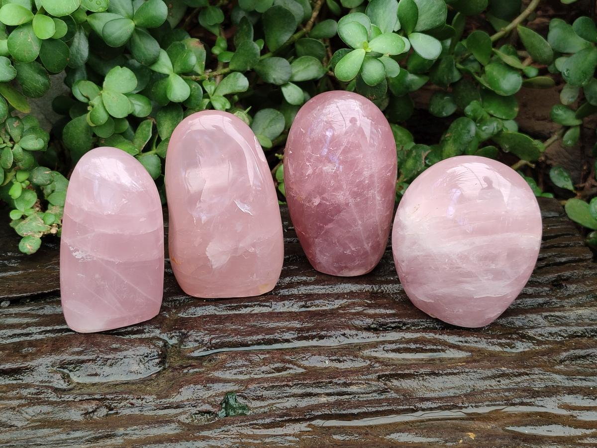 Polished Gemmy Star Rose Quartz Standing Free Forms x 4 From Madagascar