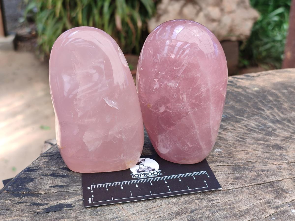 Polished Gemmy Star Rose Quartz Standing Free Forms x 4 From Madagascar