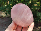 Polished Gemmy Star Rose Quartz Standing Free Forms x 4 From Madagascar