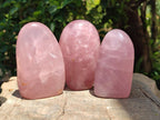Polished Gemmy Star Rose Quartz Standing Free Forms x 4 From Madagascar