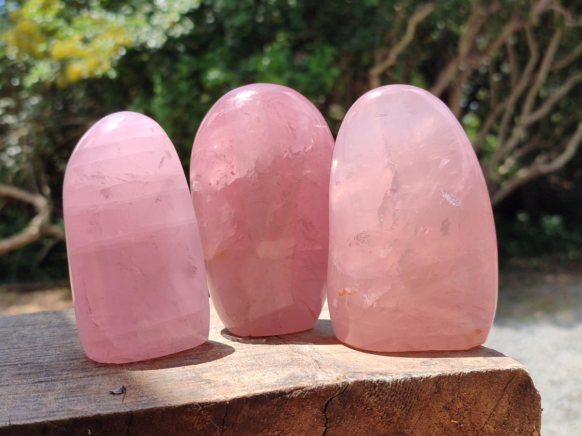 Polished Gemmy Star Rose Quartz Standing Free Forms x 4 From Madagascar