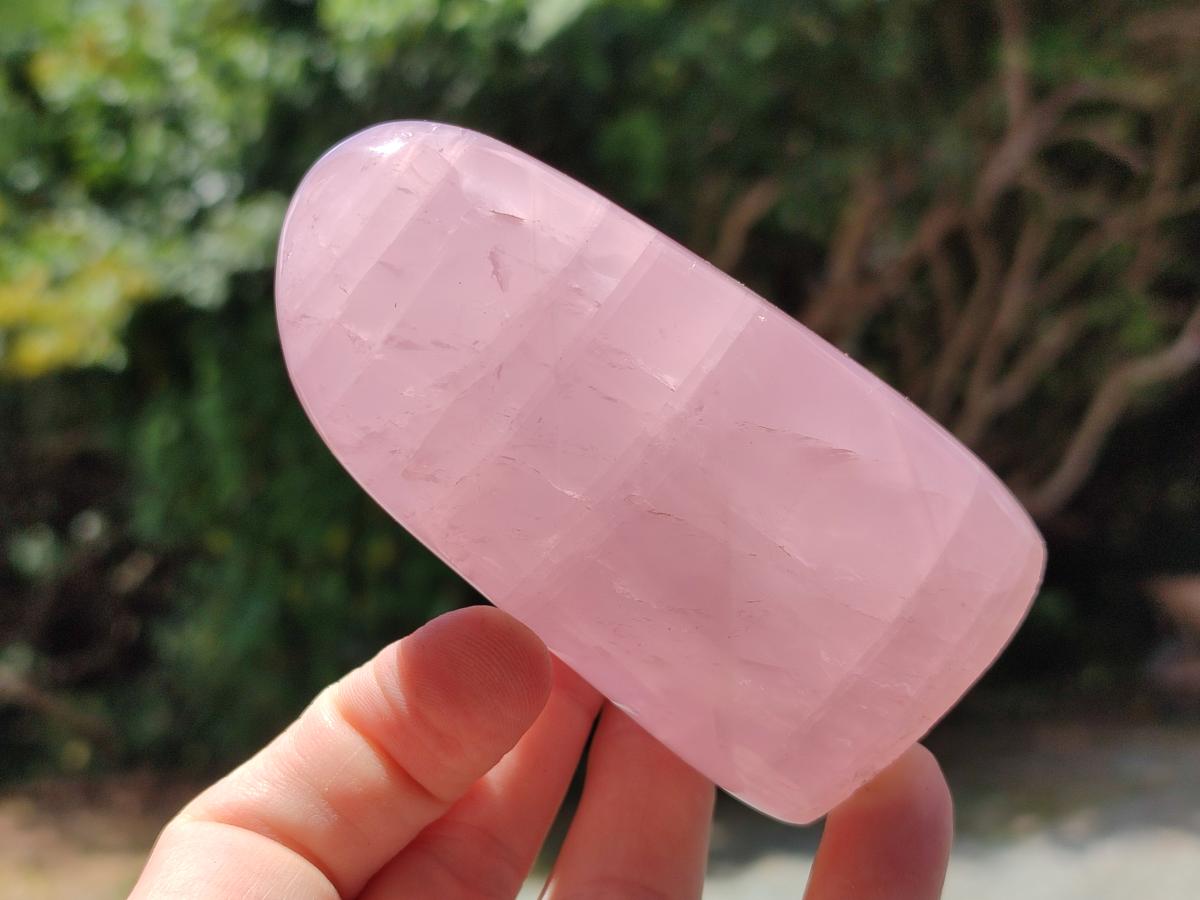 Polished Gemmy Star Rose Quartz Standing Free Forms x 4 From Madagascar