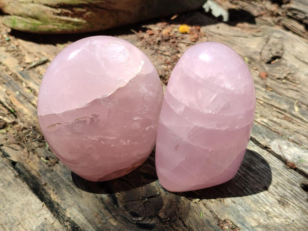 Polished Gemmy Star Rose Quartz Standing Free Forms x 4 From Madagascar