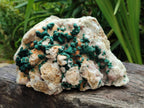 Natural Large Cabinet Size Drusy Quartz Coated Ball Malachite on Dolomite Specimen x 1 From Mindingi Mine, Kambove, Congo