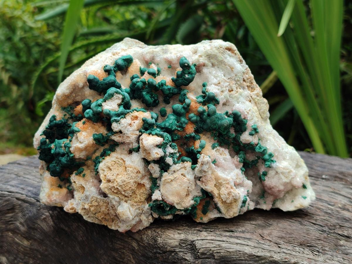 Natural Large Cabinet Size Drusy Quartz Coated Ball Malachite on Dolomite Specimen x 1 From Mindingi Mine, Kambove, Congo