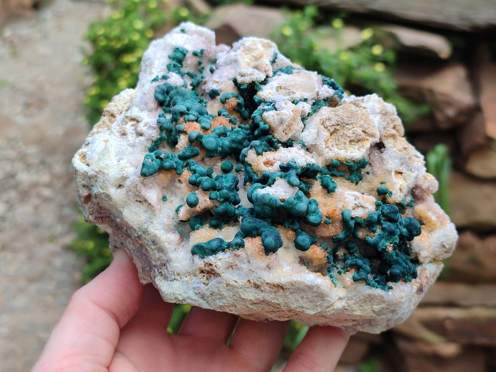 Natural Large Cabinet Size Drusy Quartz Coated Ball Malachite on Dolomite Specimen x 1 From Mindingi Mine, Kambove, Congo