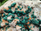 Natural Large Cabinet Size Drusy Quartz Coated Ball Malachite on Dolomite Specimen x 1 From Mindingi Mine, Kambove, Congo
