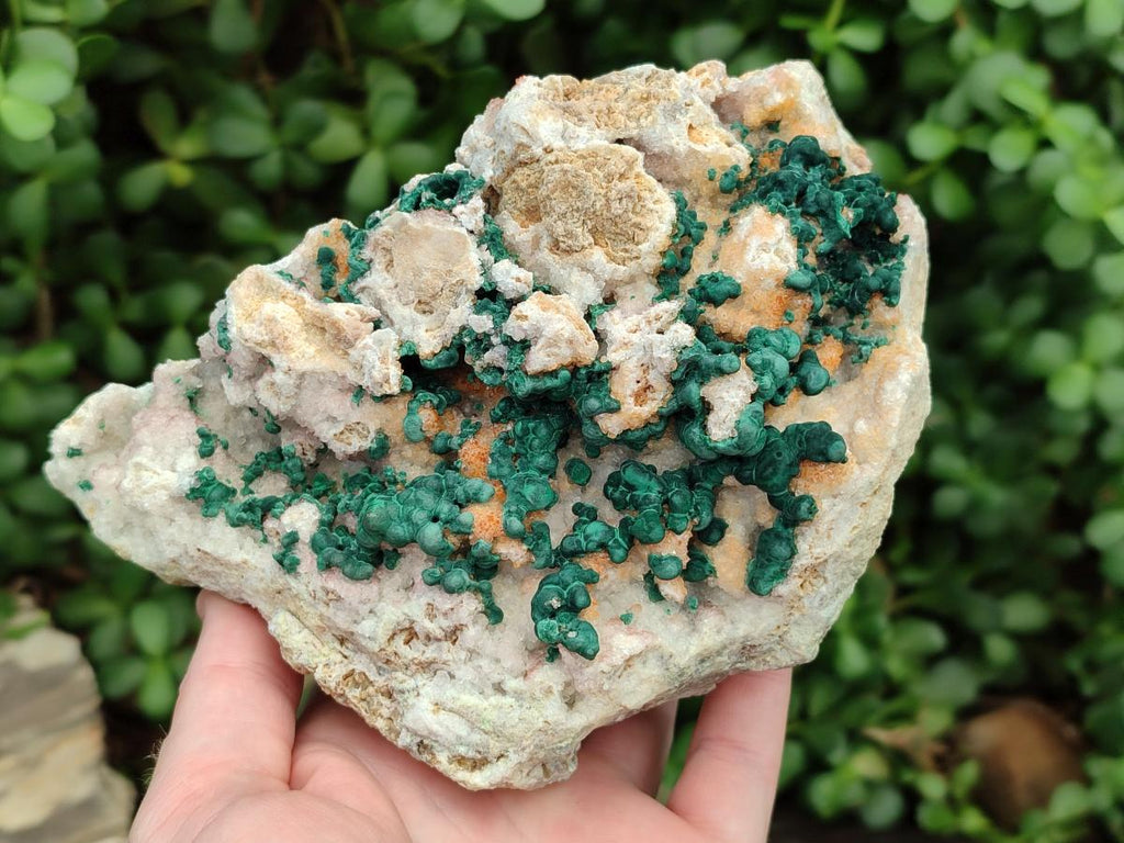 Natural Large Cabinet Size Drusy Quartz Coated Ball Malachite on Dolomite Specimen x 1 From Mindingi Mine, Kambove, Congo