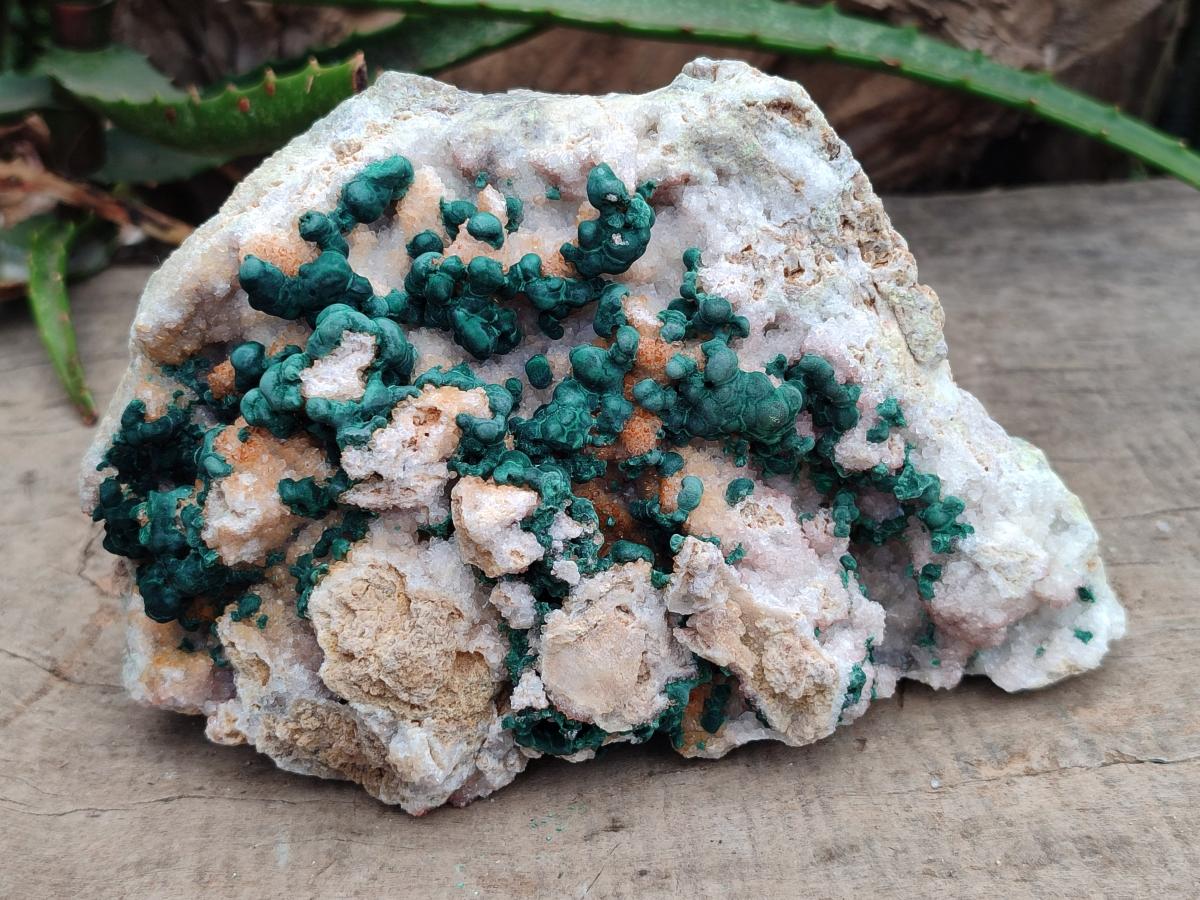 Natural Large Cabinet Size Drusy Quartz Coated Ball Malachite on Dolomite Specimen x 1 From Mindingi Mine, Kambove, Congo