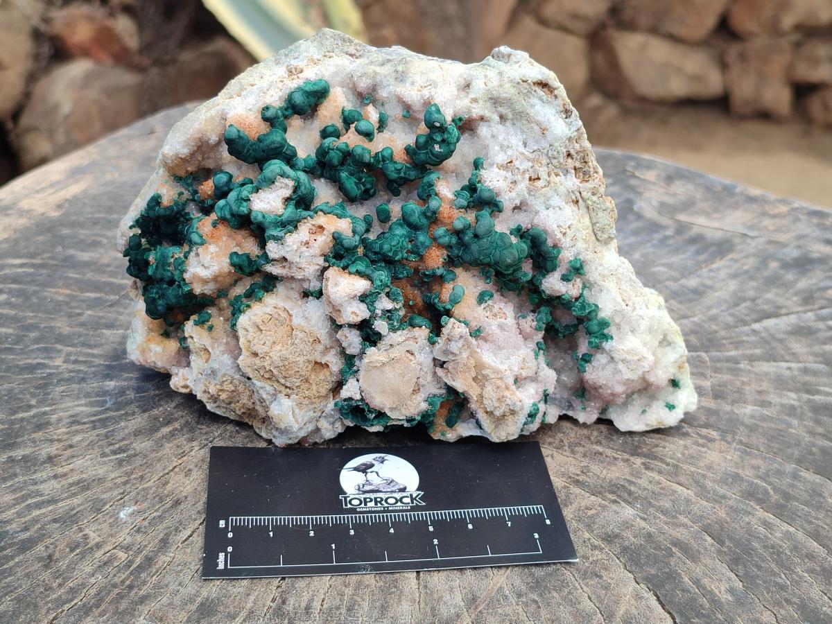Natural Large Cabinet Size Drusy Quartz Coated Ball Malachite on Dolomite Specimen x 1 From Mindingi Mine, Kambove, Congo