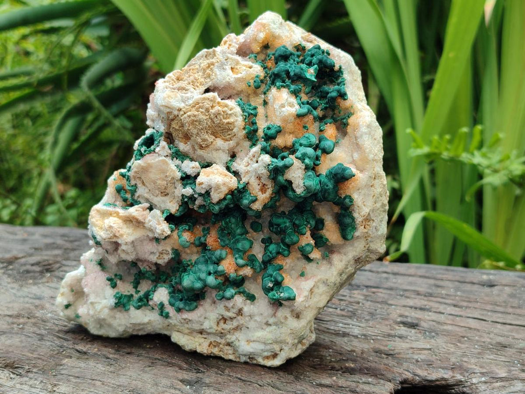 Natural Large Cabinet Size Drusy Quartz Coated Ball Malachite on Dolomite Specimen x 1 From Mindingi Mine, Kambove, Congo