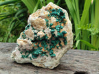 Natural Large Cabinet Size Drusy Quartz Coated Ball Malachite on Dolomite Specimen x 1 From Mindingi Mine, Kambove, Congo