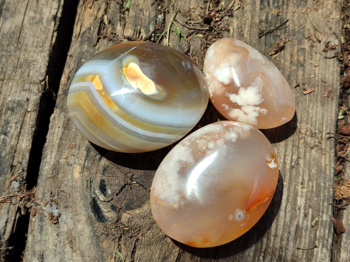 Polished Flower Agate Palm Stones and one Heart x 12 From Antsahalova, Madagascar