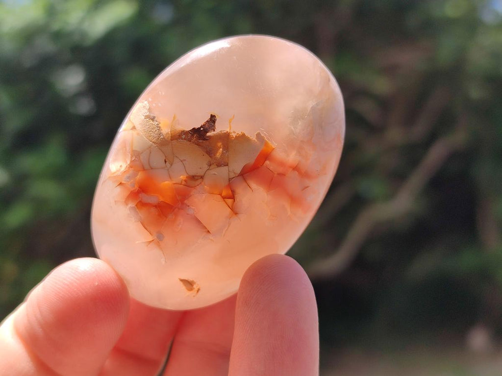 Polished Flower Agate Palm Stones and one Heart x 12 From Antsahalova, Madagascar