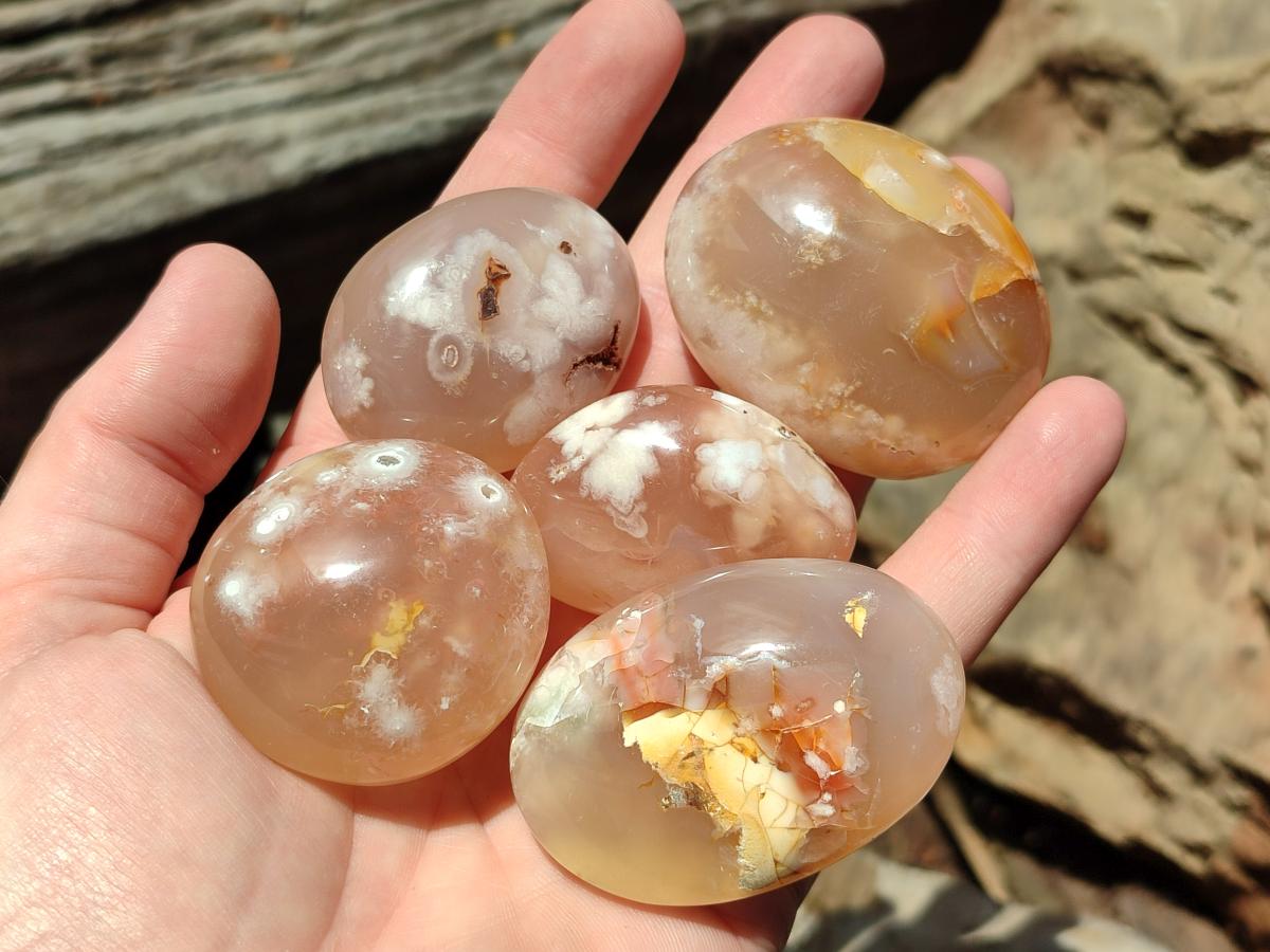Polished Flower Agate Palm Stones and one Heart x 12 From Antsahalova, Madagascar