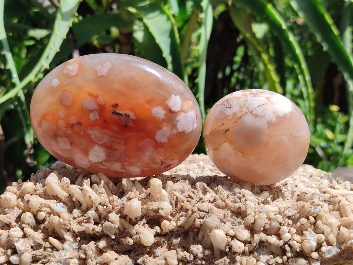 Polished Flower Agate Palm Stones and one Heart x 12 From Antsahalova, Madagascar