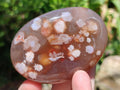 Polished Flower Agate Palm Stones and one Heart x 12 From Antsahalova, Madagascar