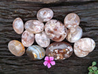 Polished Flower Agate Palm Stones and one Heart x 12 From Antsahalova, Madagascar