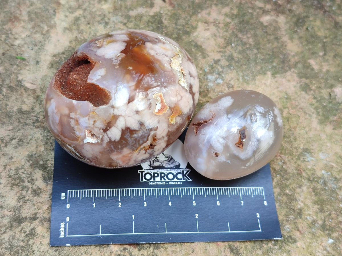 Polished Flower Agate Palm Stones and one Heart x 12 From Antsahalova, Madagascar