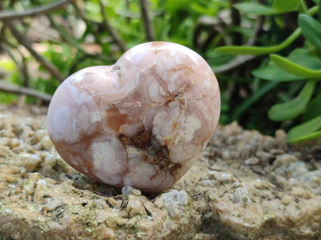 Polished Flower Agate Palm Stones and one Heart x 12 From Antsahalova, Madagascar