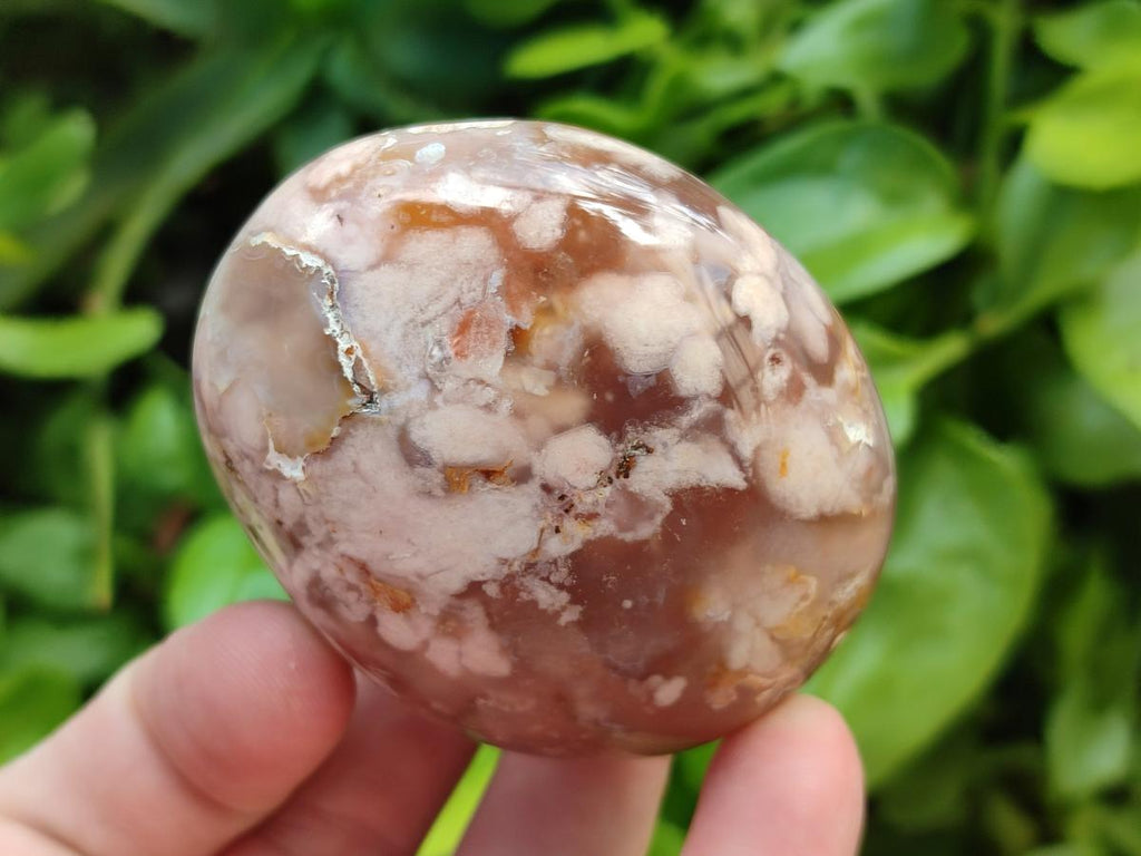 Polished Flower Agate Palm Stones and one Heart x 12 From Antsahalova, Madagascar