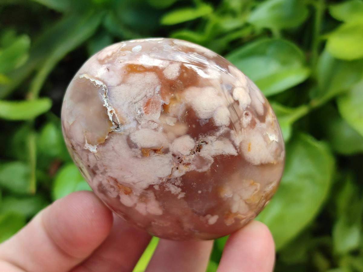 Polished Flower Agate Palm Stones and one Heart x 12 From Antsahalova, Madagascar