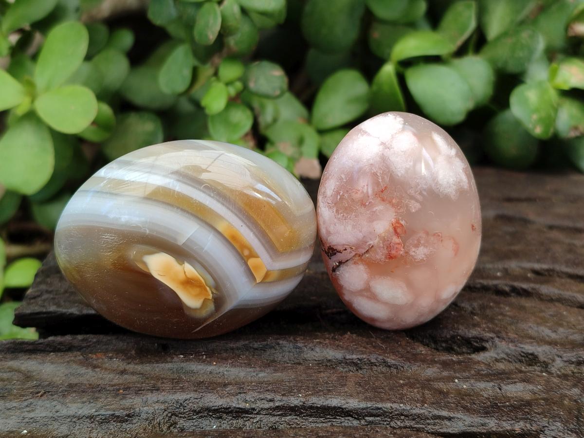 Polished Flower Agate Palm Stones and one Heart x 12 From Antsahalova, Madagascar