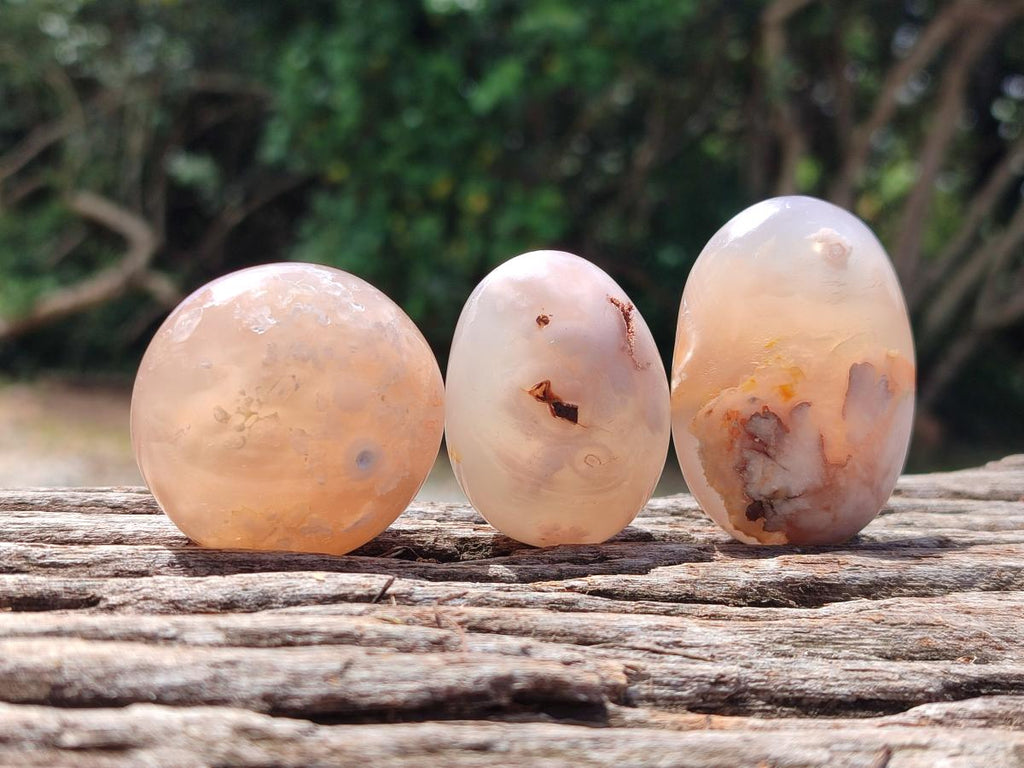 Polished Flower Agate Palm Stones and one Heart x 12 From Antsahalova, Madagascar